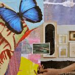 BlueButterfly1