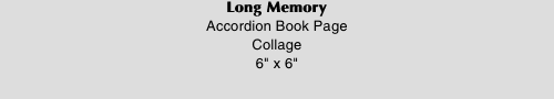 Long Memory