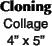Cloning