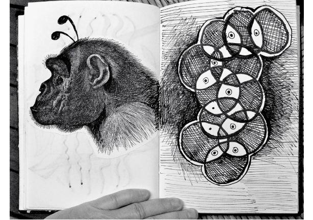 Gorillabee